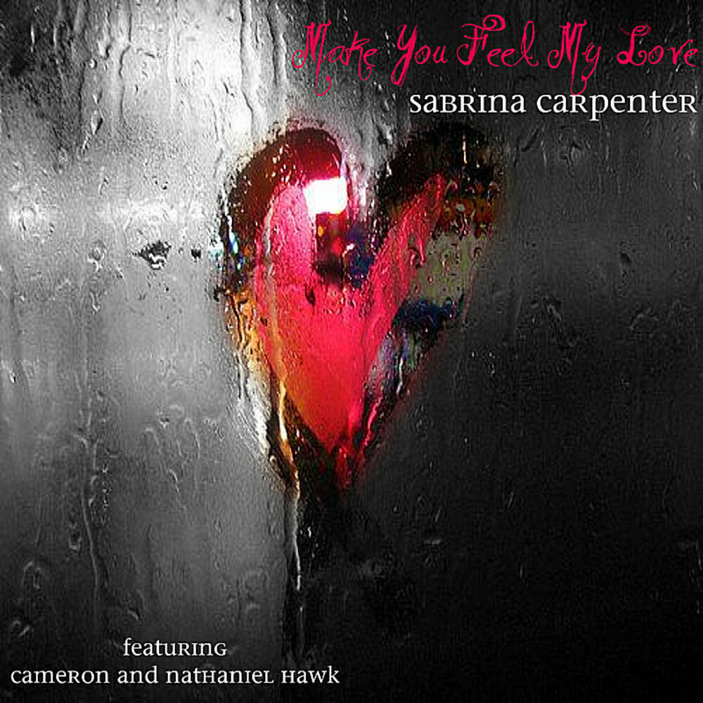 Picture of Make You Feel My Love