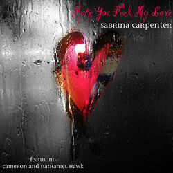 Cover of Make You Feel My Love