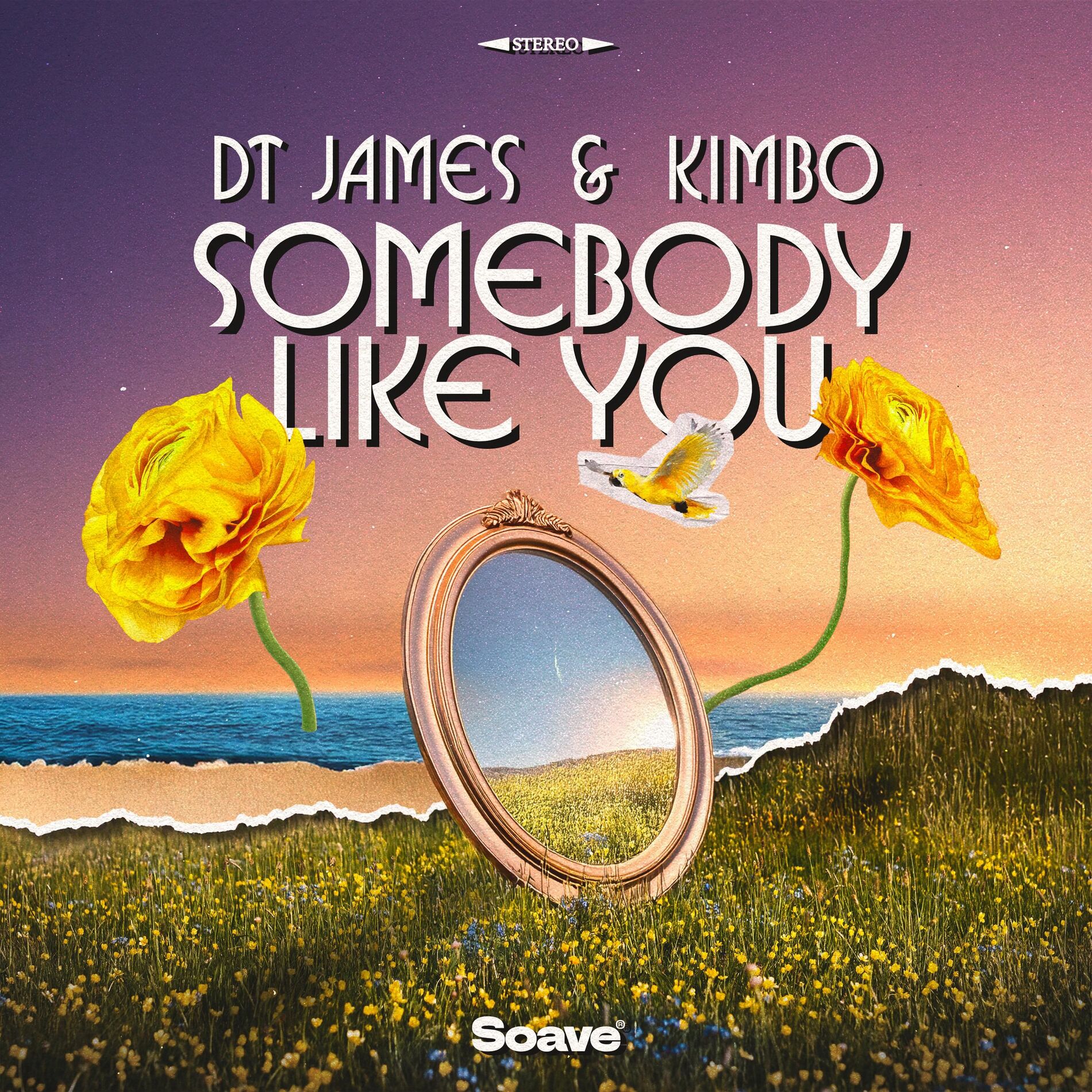Album cover of Somebody Like You