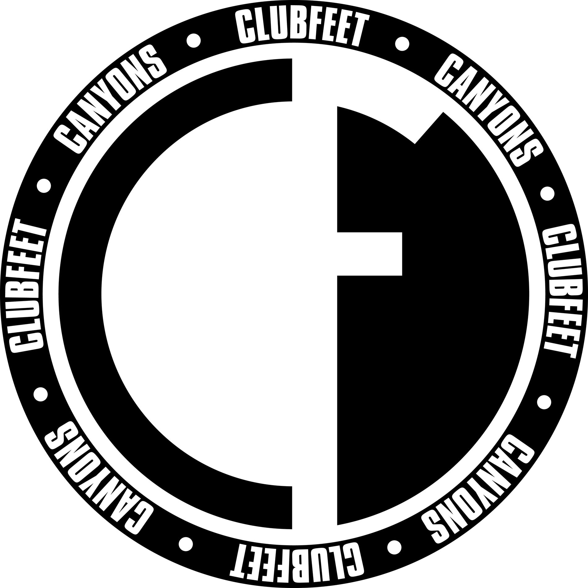 Album cover of Canyons