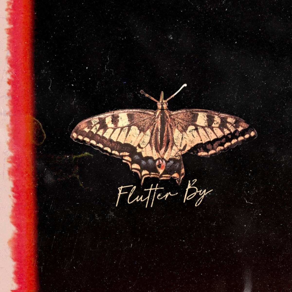Album cover of Flutter By