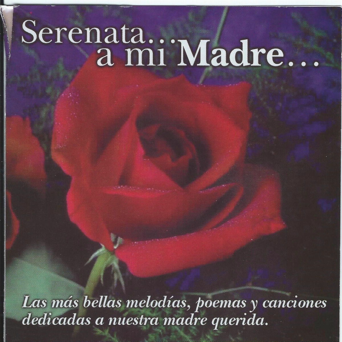 Album cover of Serenata... A Mi Madre