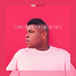 Cover of If You Fall