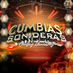Cover of Cumbias Llamadoras