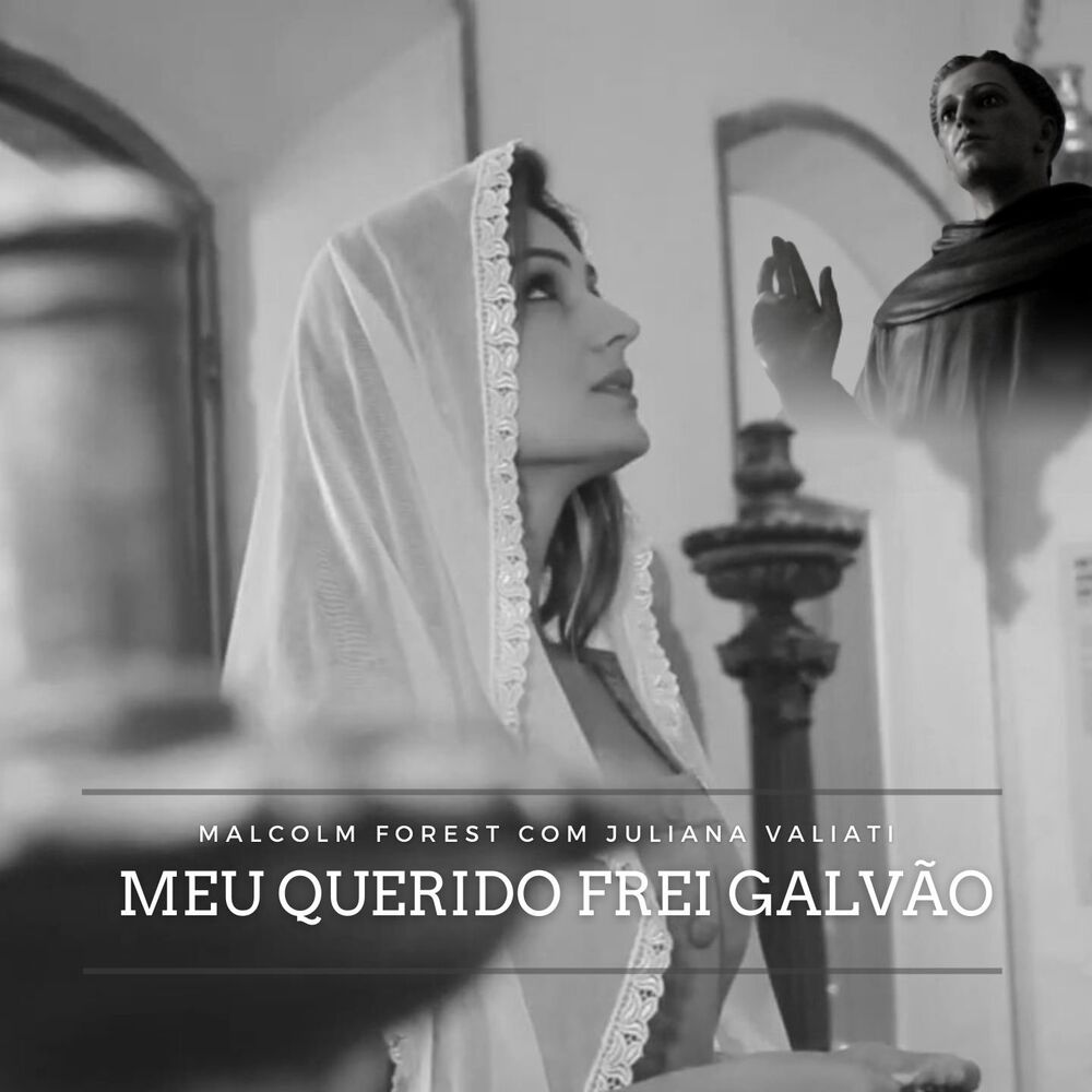 Picture of Meu Querido Frei Galvão