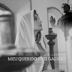 Cover of Meu Querido Frei Galvão