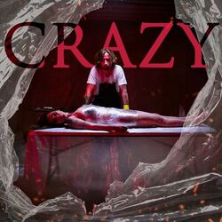 Cover of Crazy