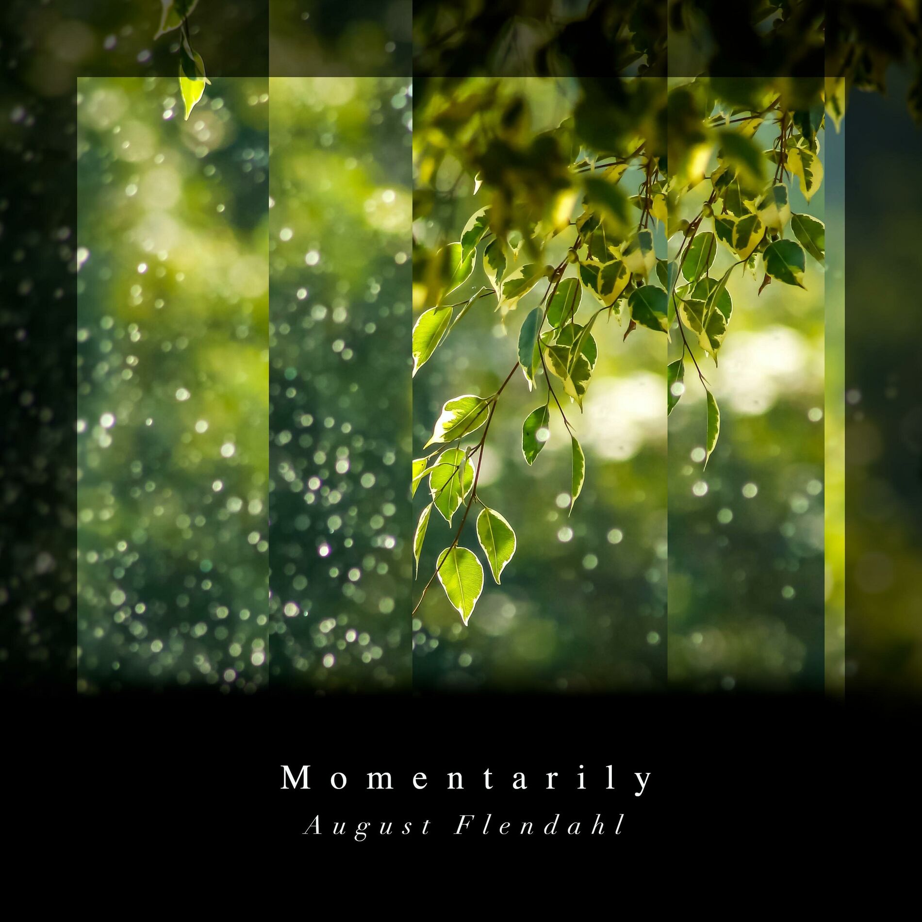 Album cover of Momentarily