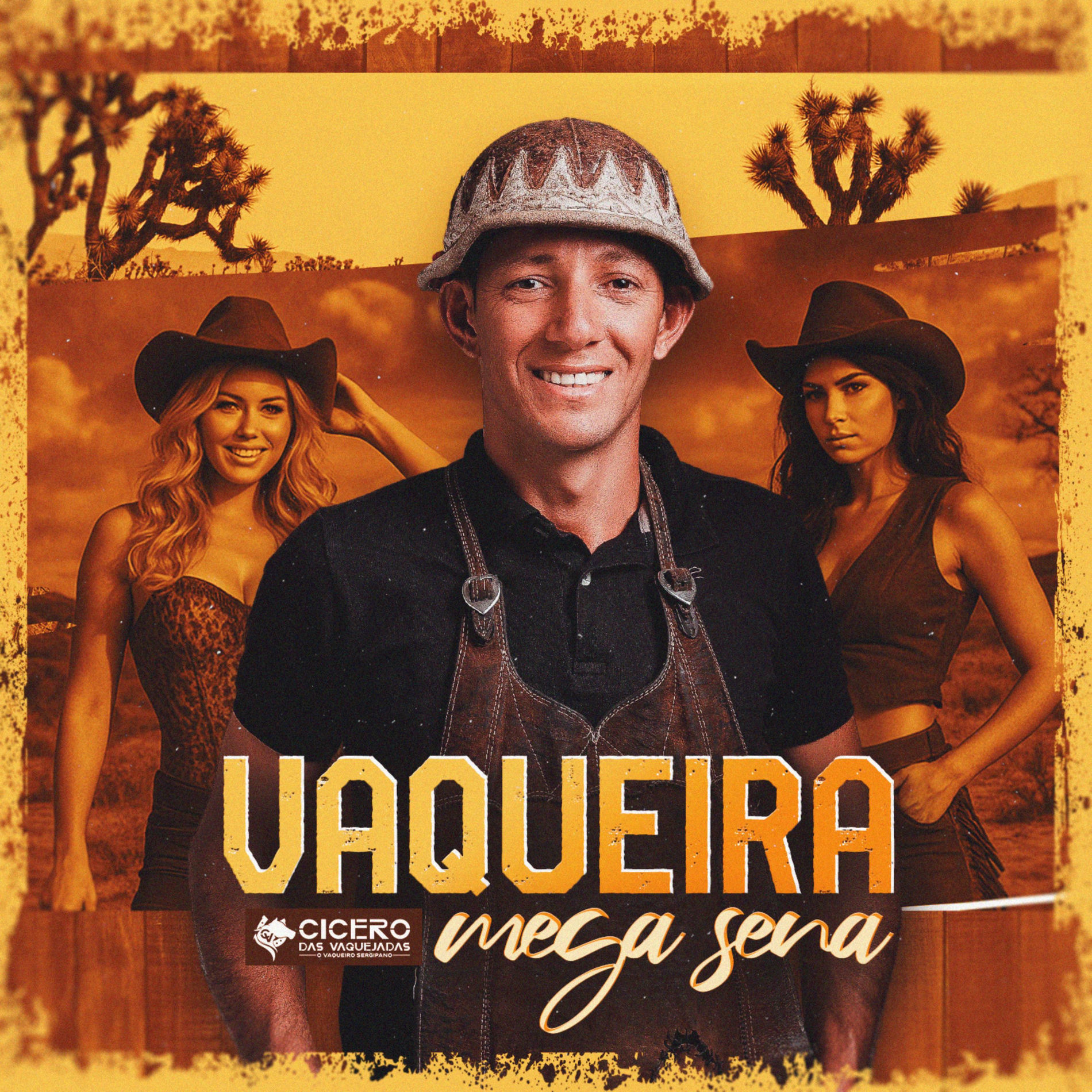 Album cover of Vaqueira Mega Sena