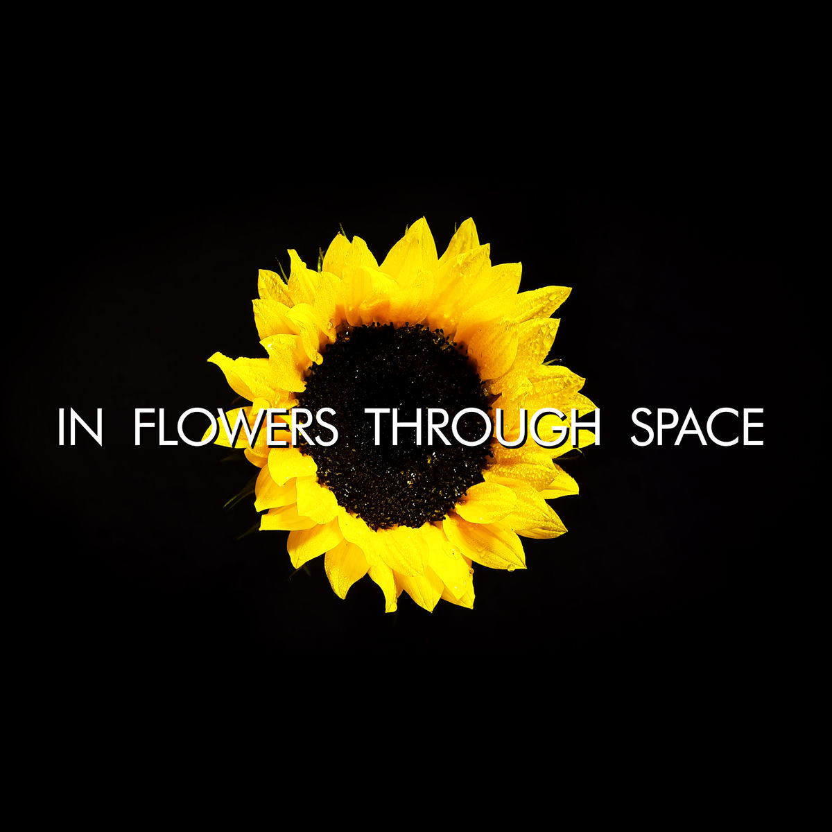 Album cover of In Flowers Through Space