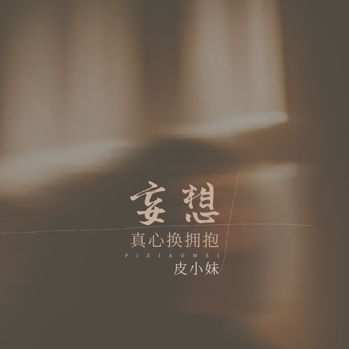 妄想真心换拥抱