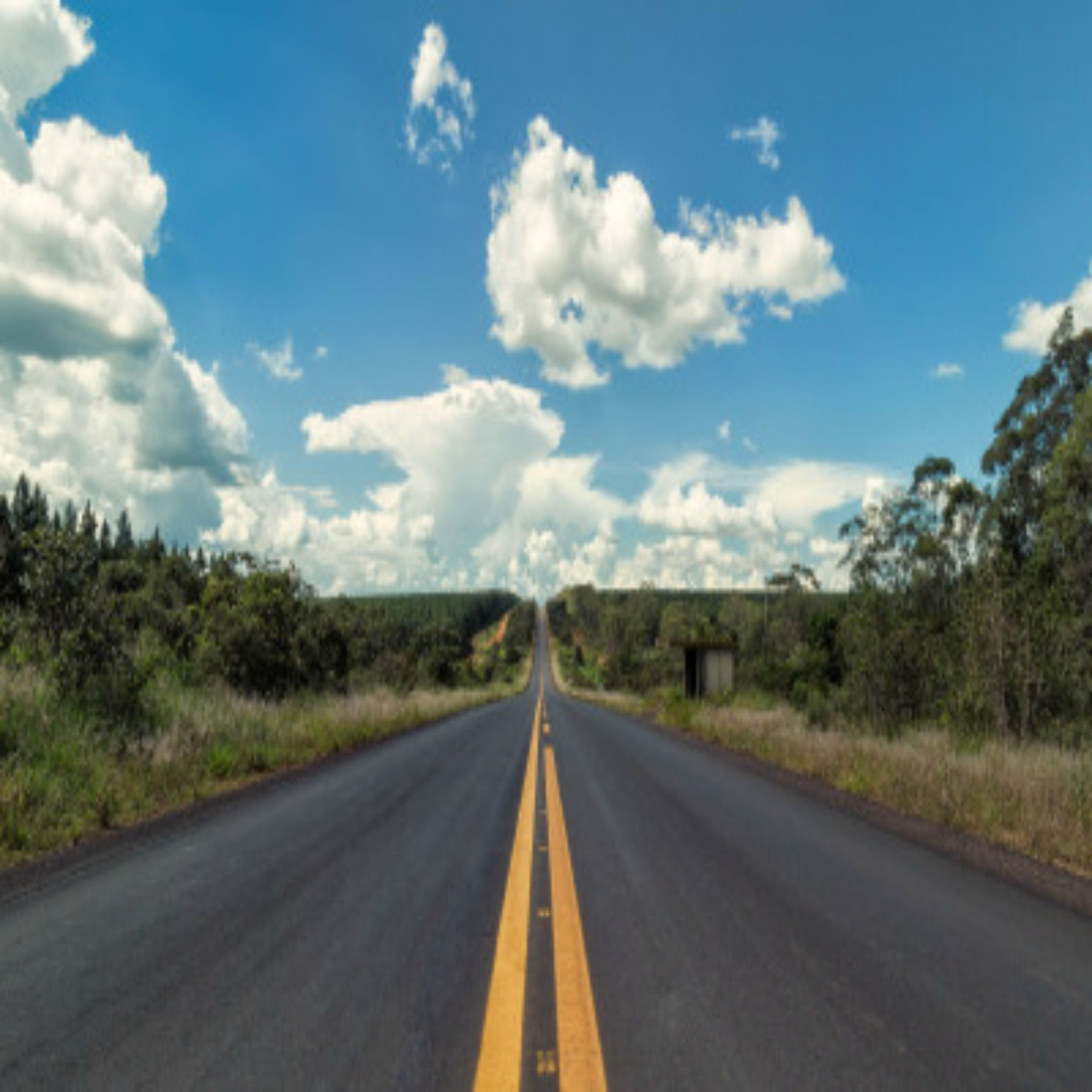 Album cover of Estrada