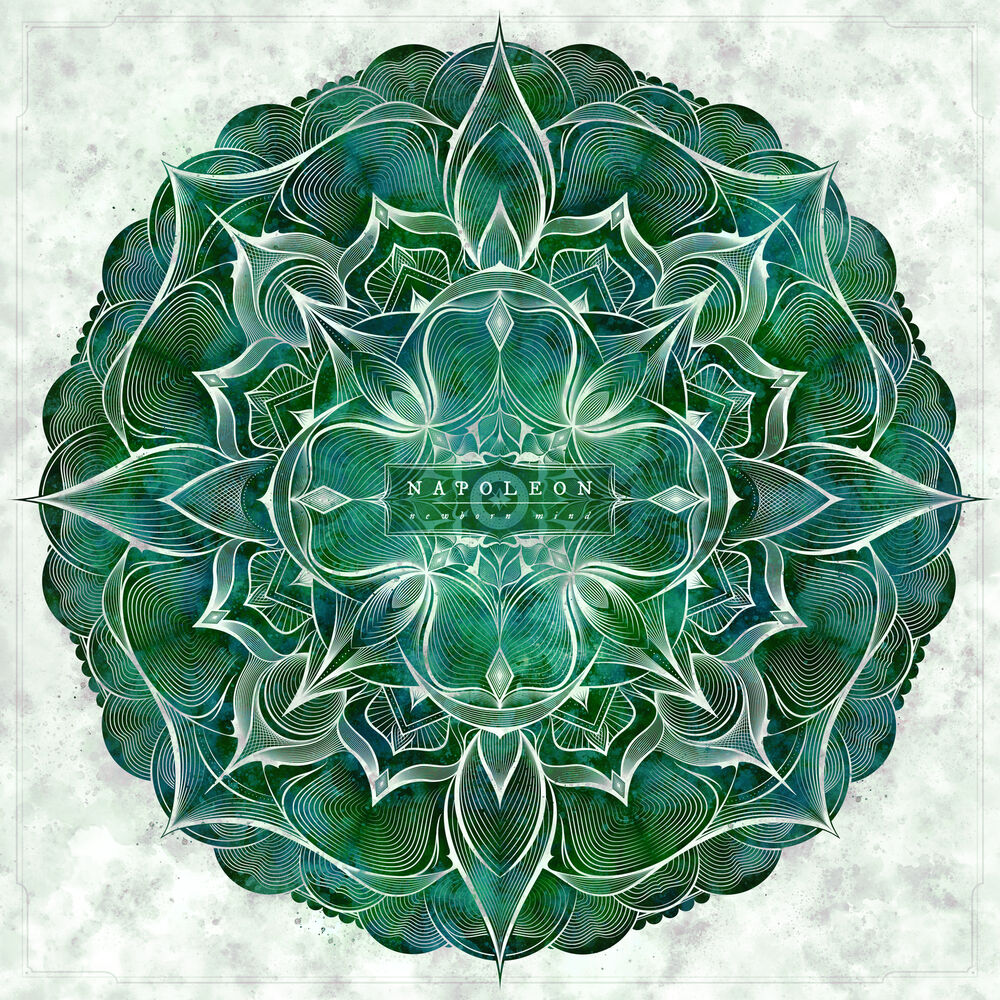 Picture of Newborn Mind