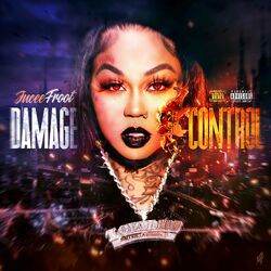 Cover of Damage Control