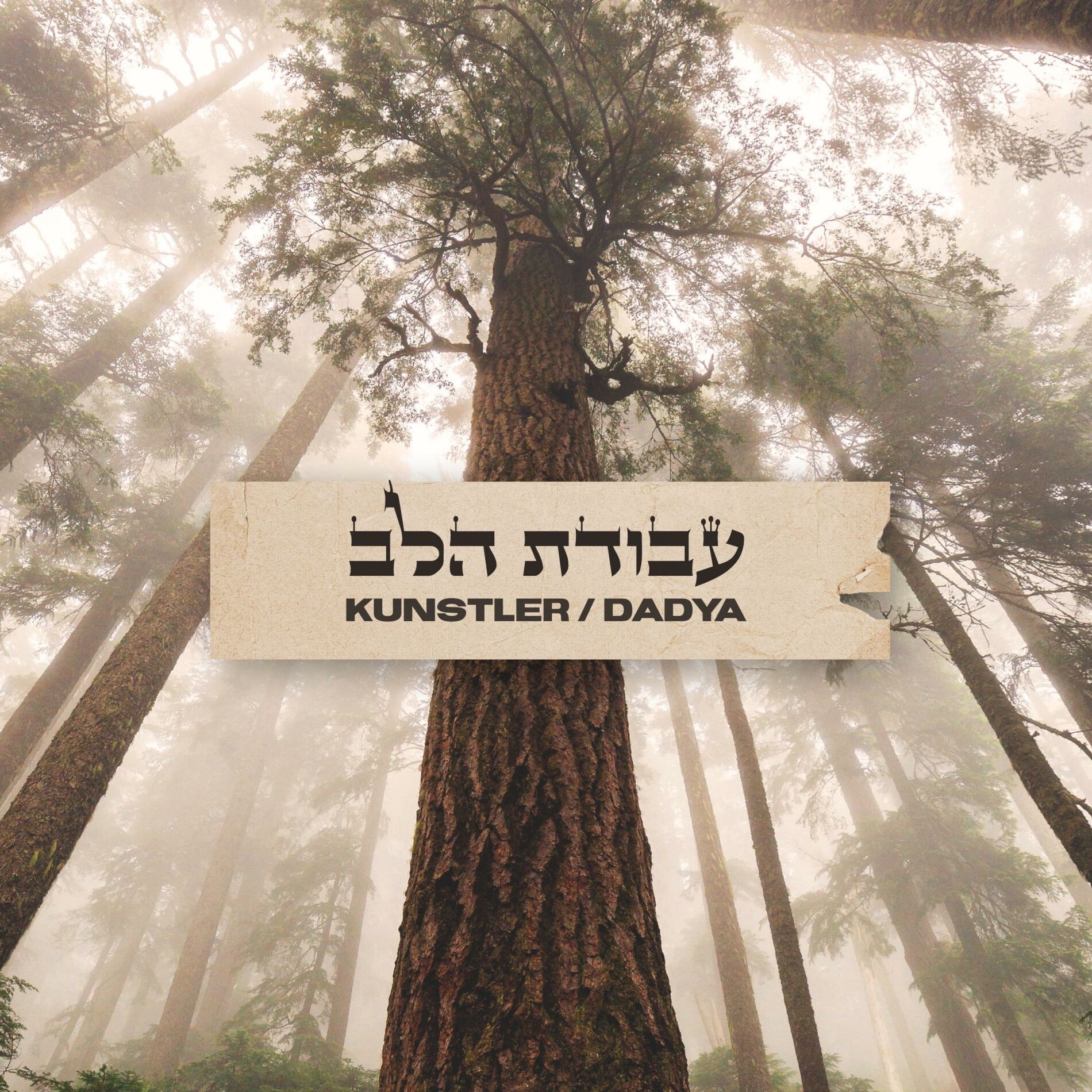 Album cover of Avodat Halev (עבודת הלב)