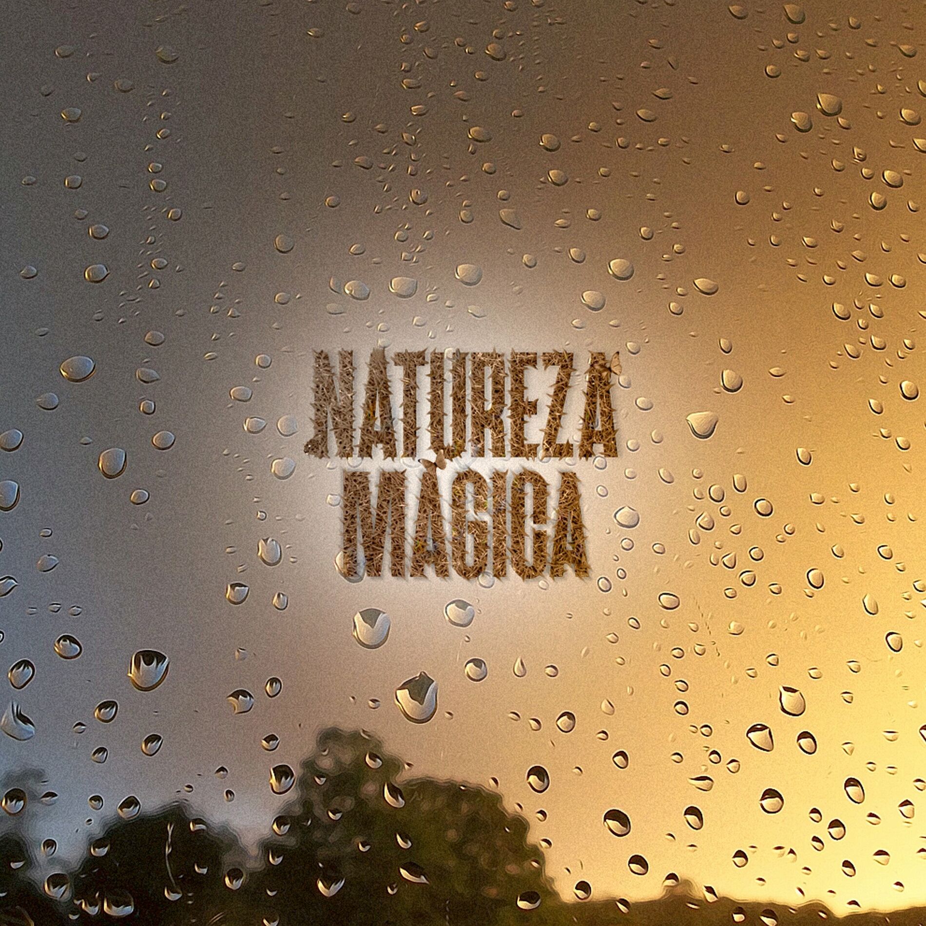Album cover of Summer Rain