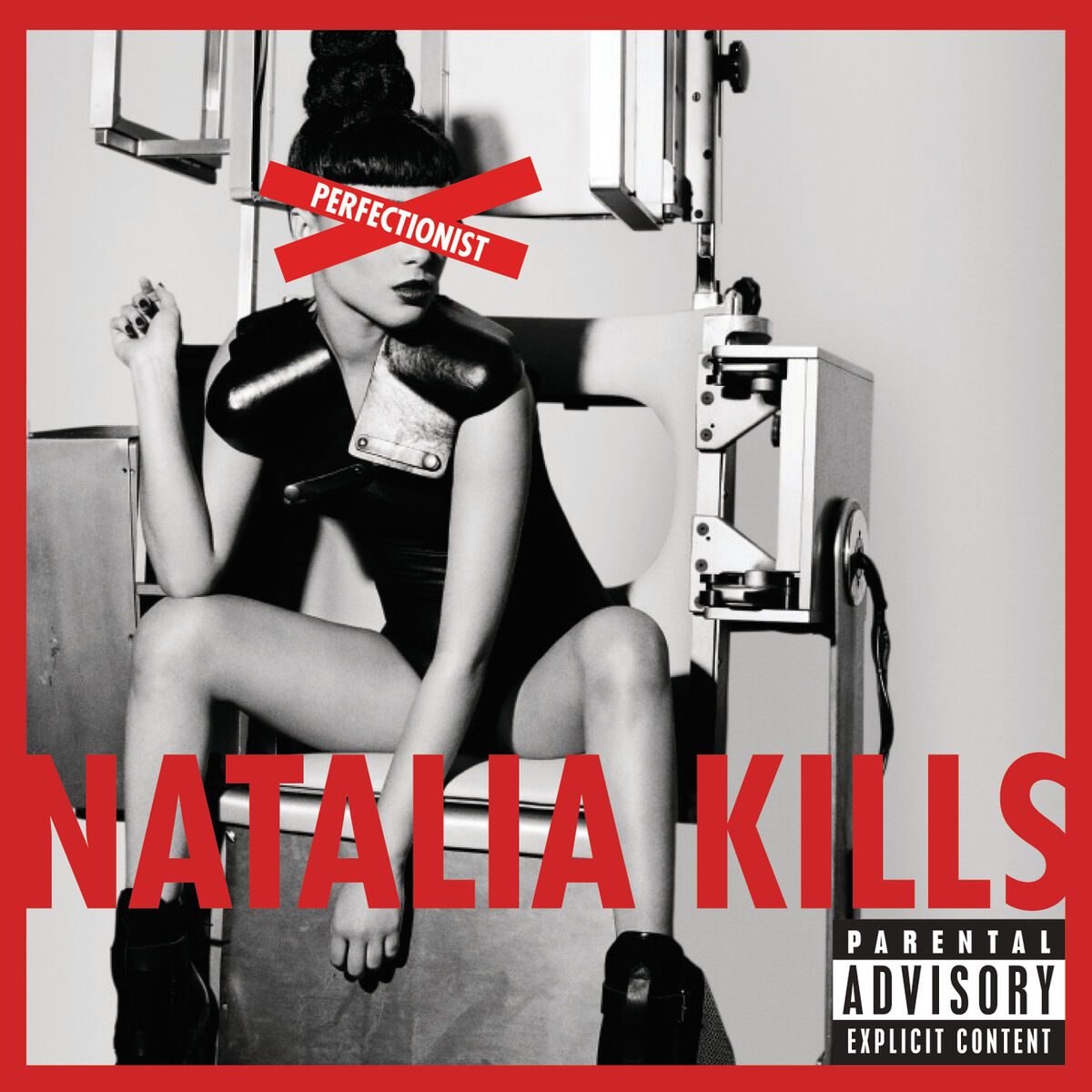 Album cover of Perfectionist