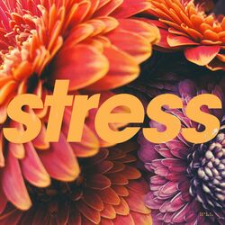 Cover of Stress