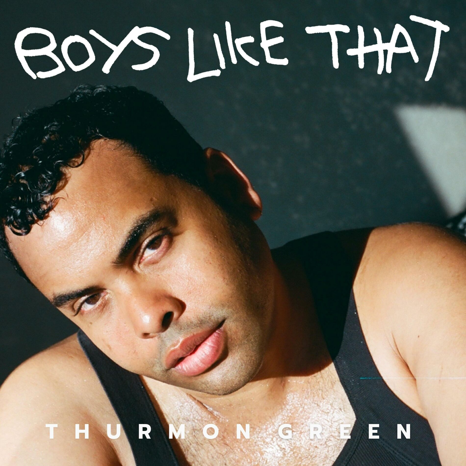 Album cover of Boys Like That