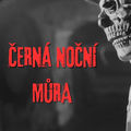 Čern&aacute; nočn&iacute; můra