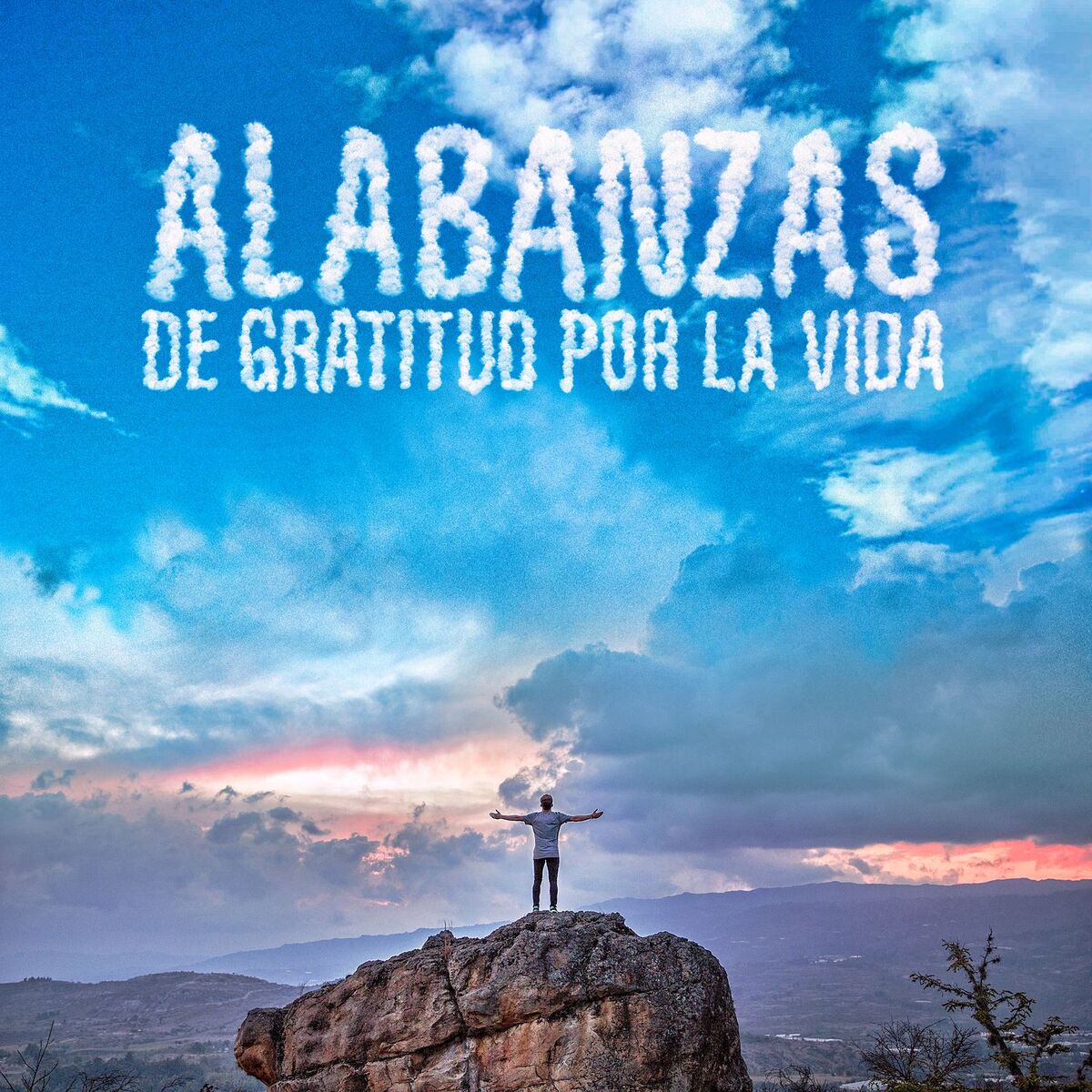 Album cover of Alabanzas De Gratitud Por La Vida