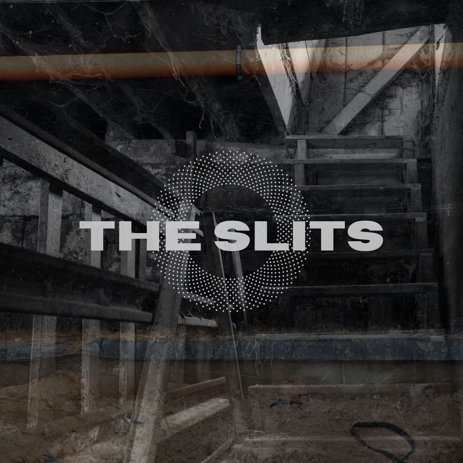 Album cover of From The Basement