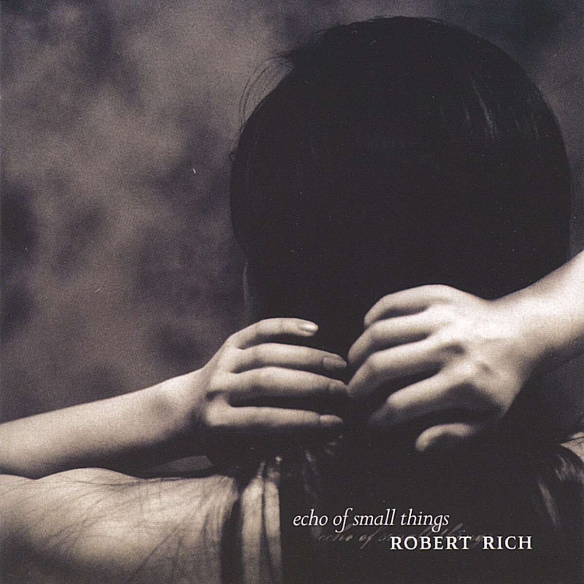Album cover of Echo of Small Things