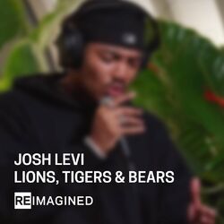 Cover of Lions, Tigers & Bears (Reimagined)