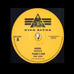 Cover of Nibiru