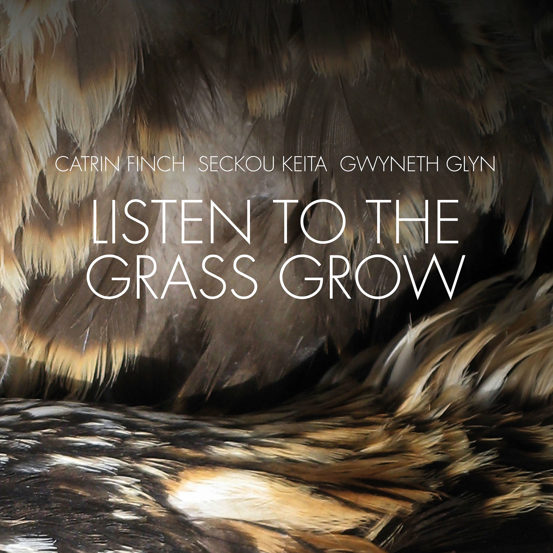 Album cover of Listen to the Grass Grow