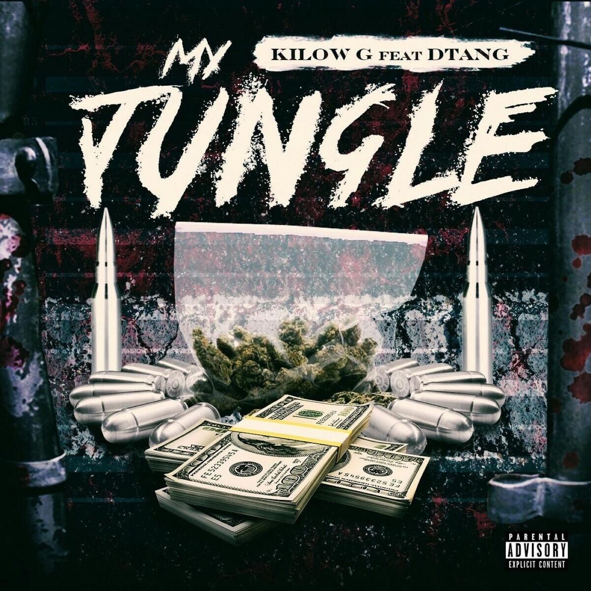 Album cover of My Jungle