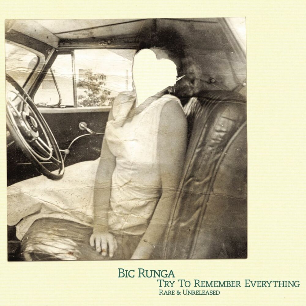 Picture of Try To Remember Everything