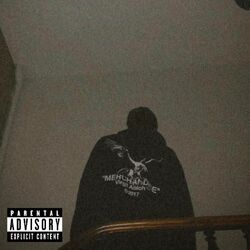 Cover of Don't Shoot !