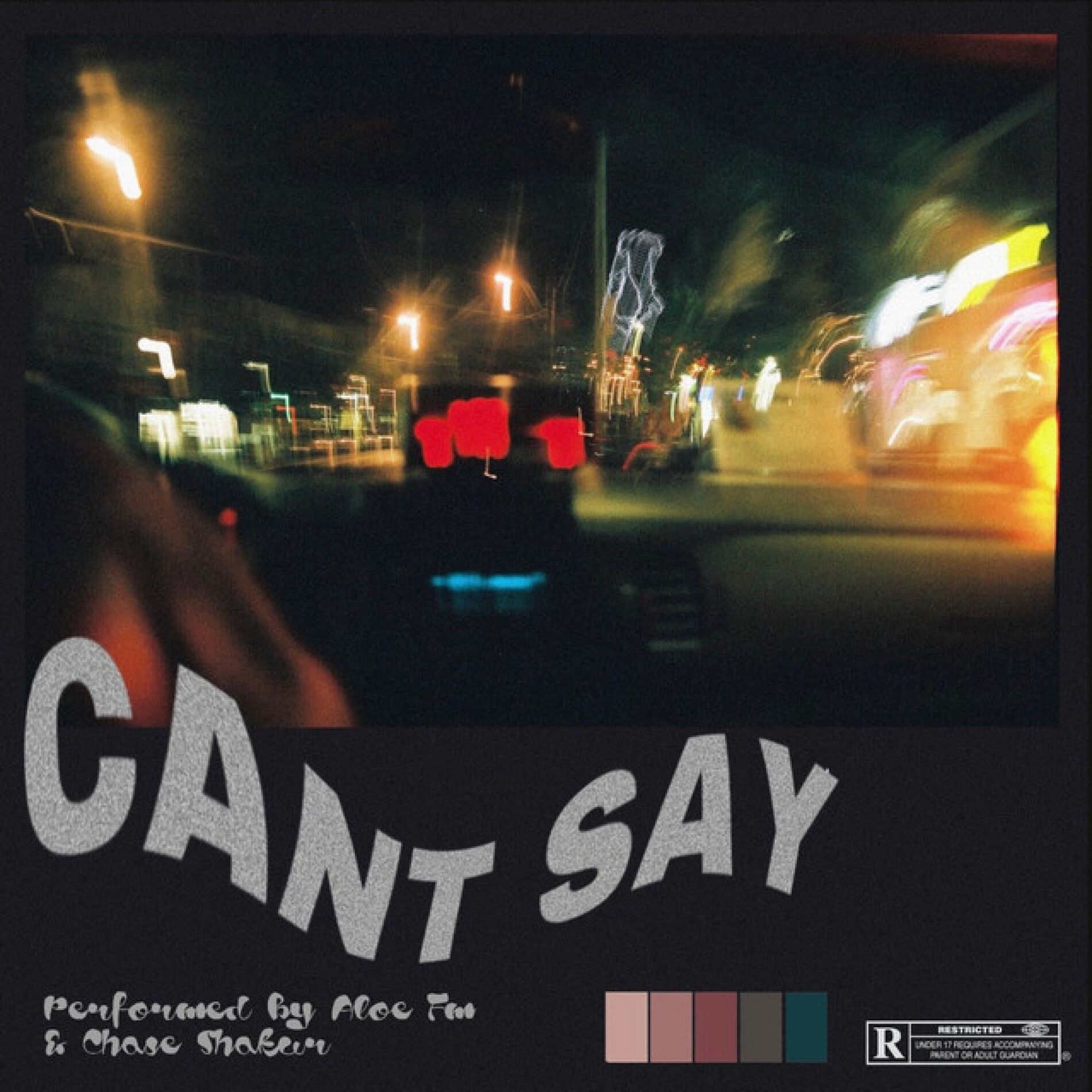 Album cover of CANT SAY