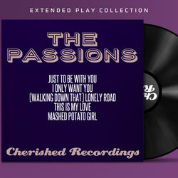 Just to Be with You by The Passions