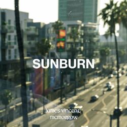 Cover of Sunburn