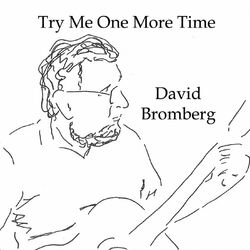 Cover of Try Me One More Time