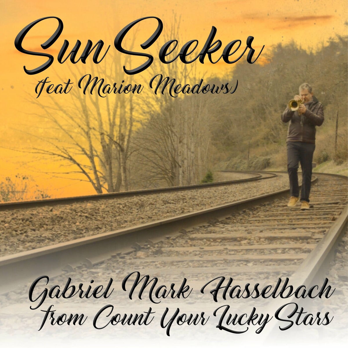 Album cover of SunSeeker