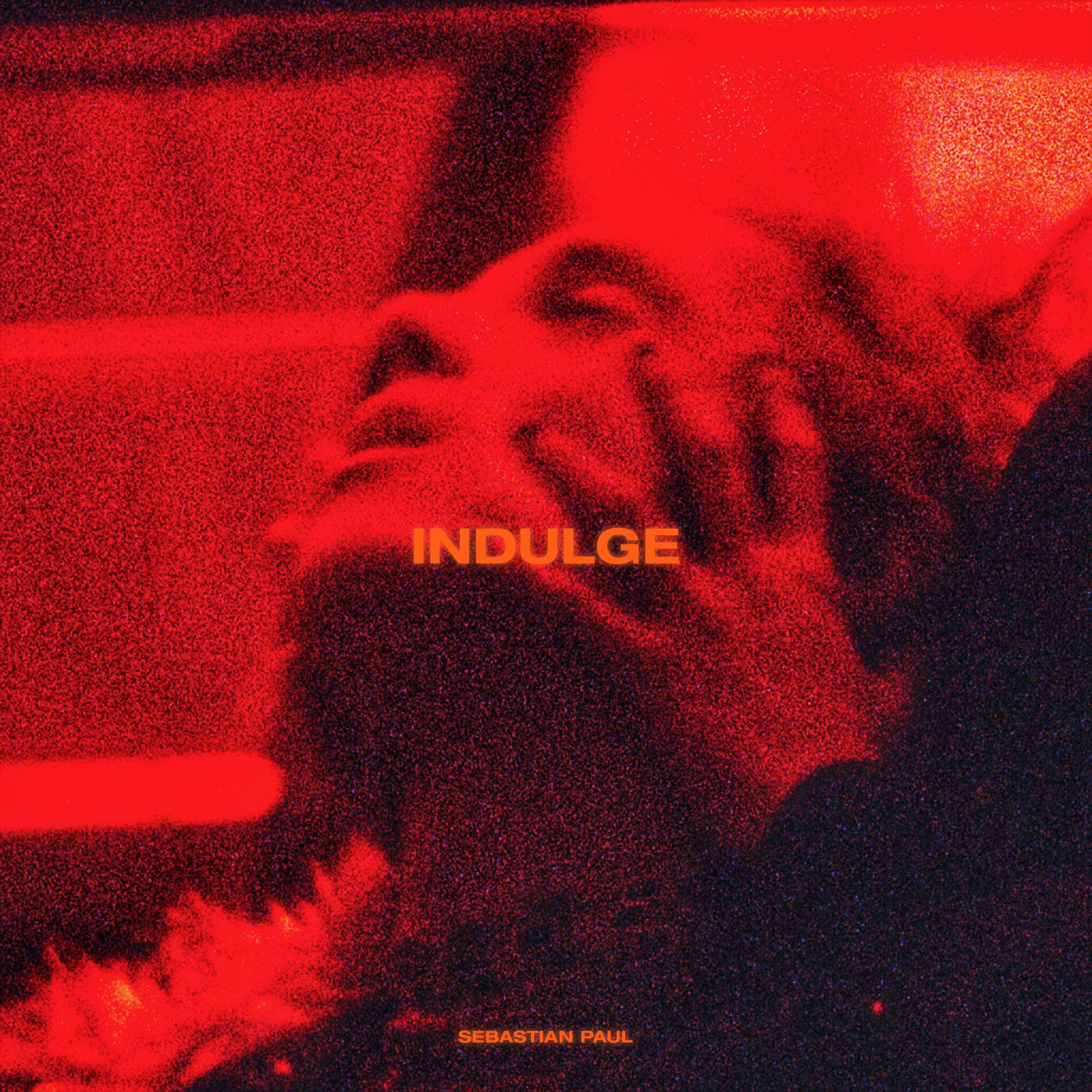 Album cover of INDULGE