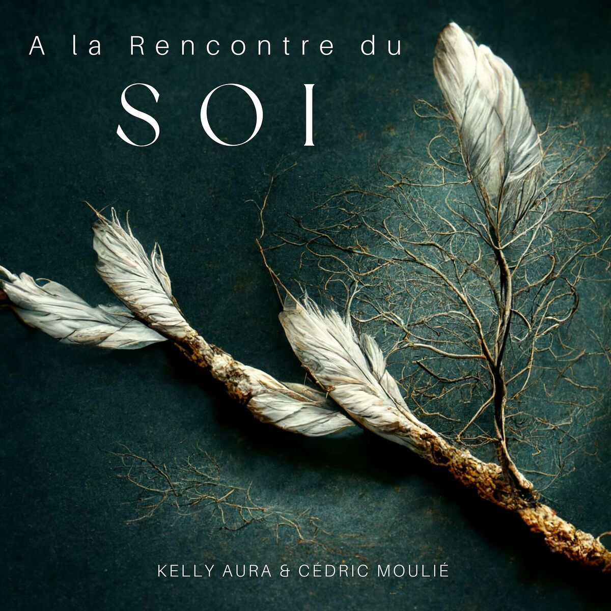 Album cover of A la Rencontre du Soi