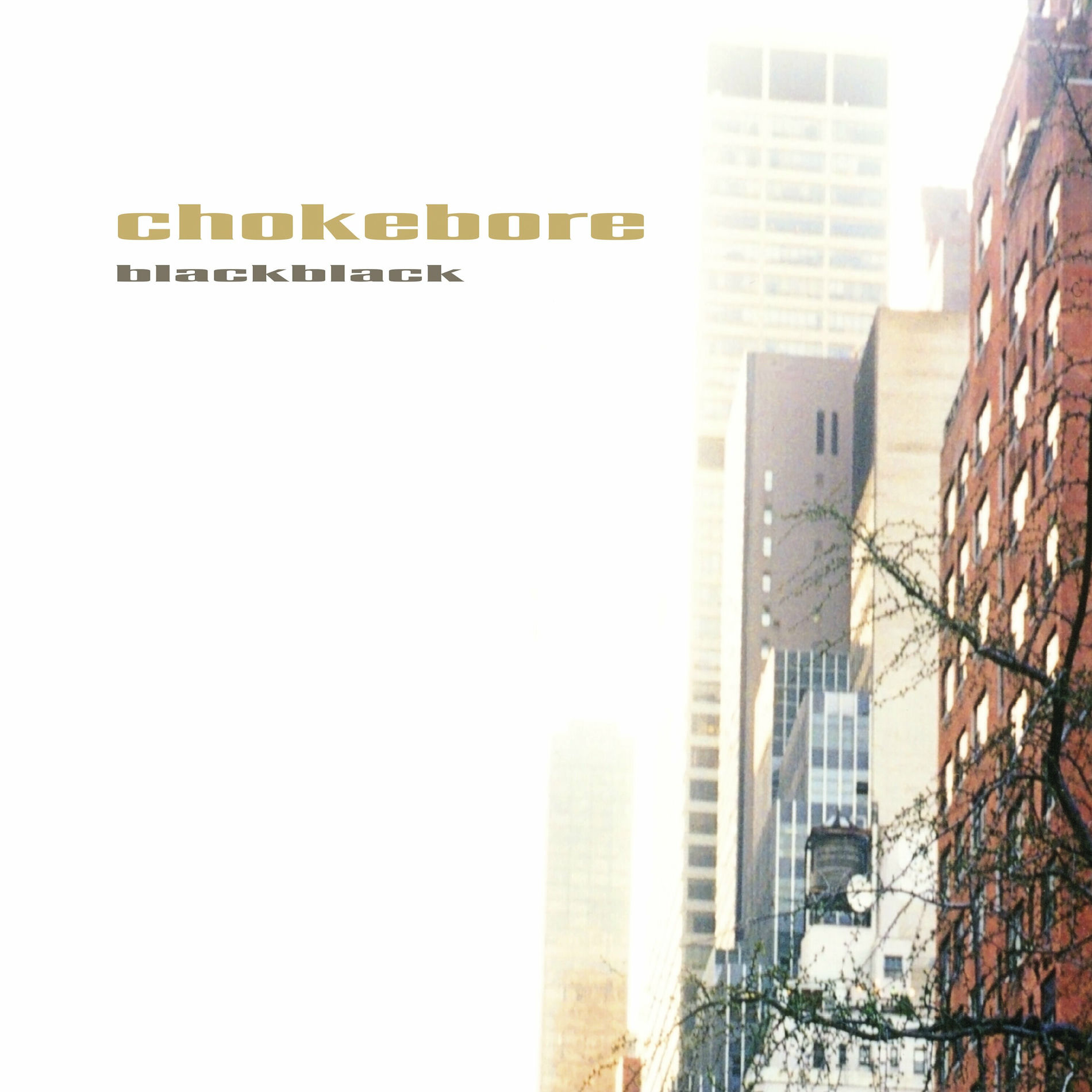 Album cover of Valentine