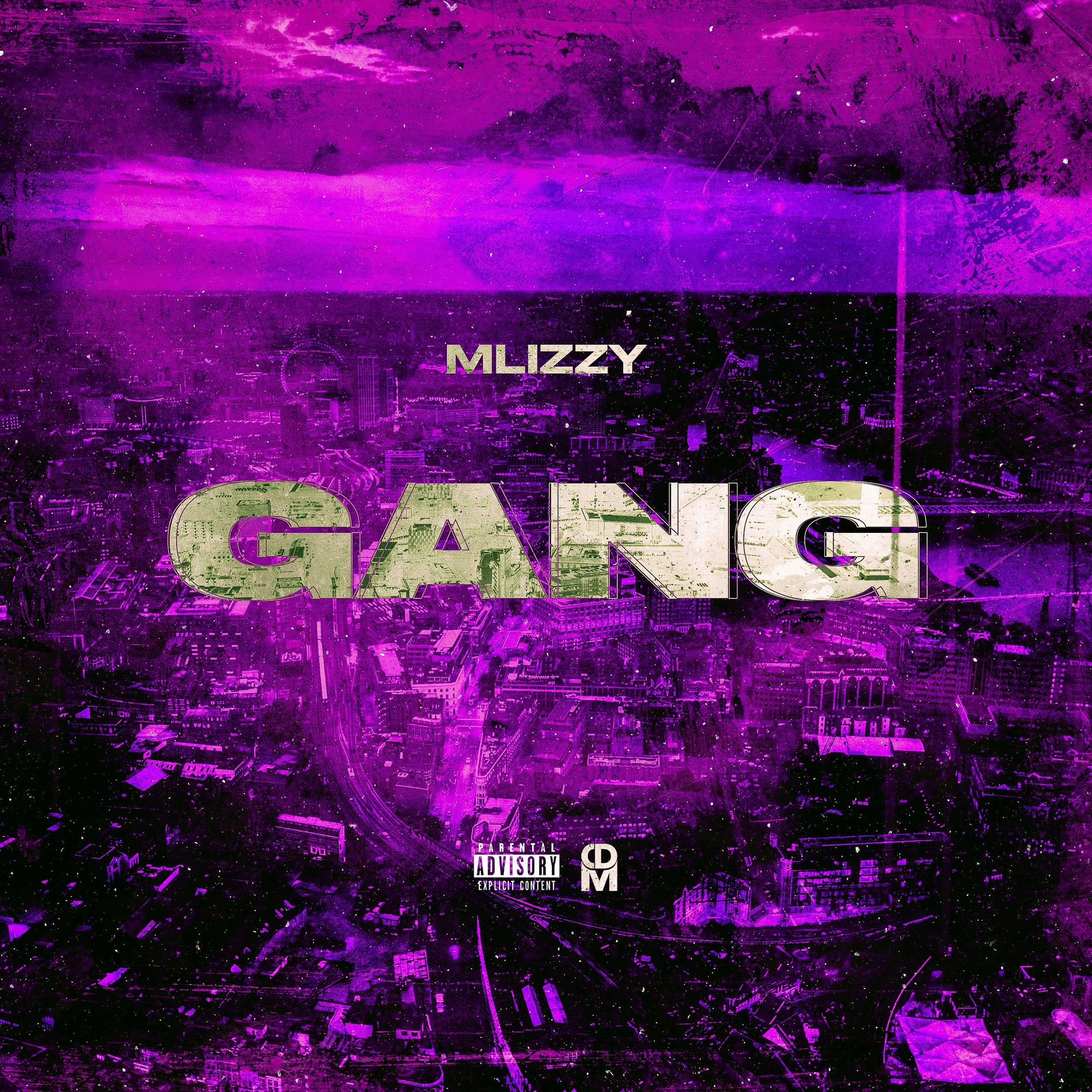 Album cover of Gang