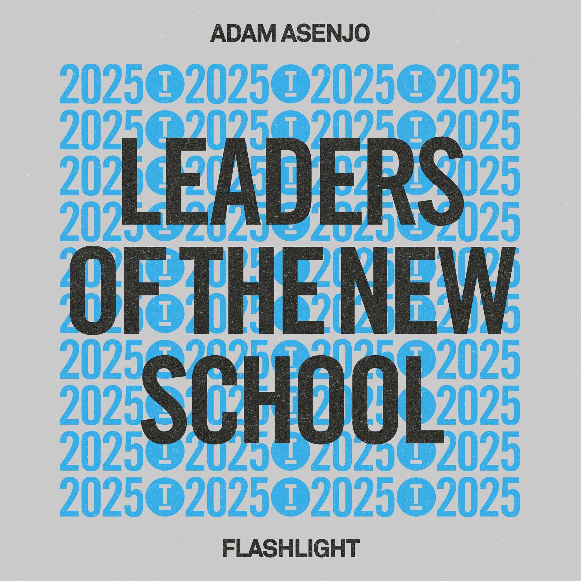 Album cover of Flashlight