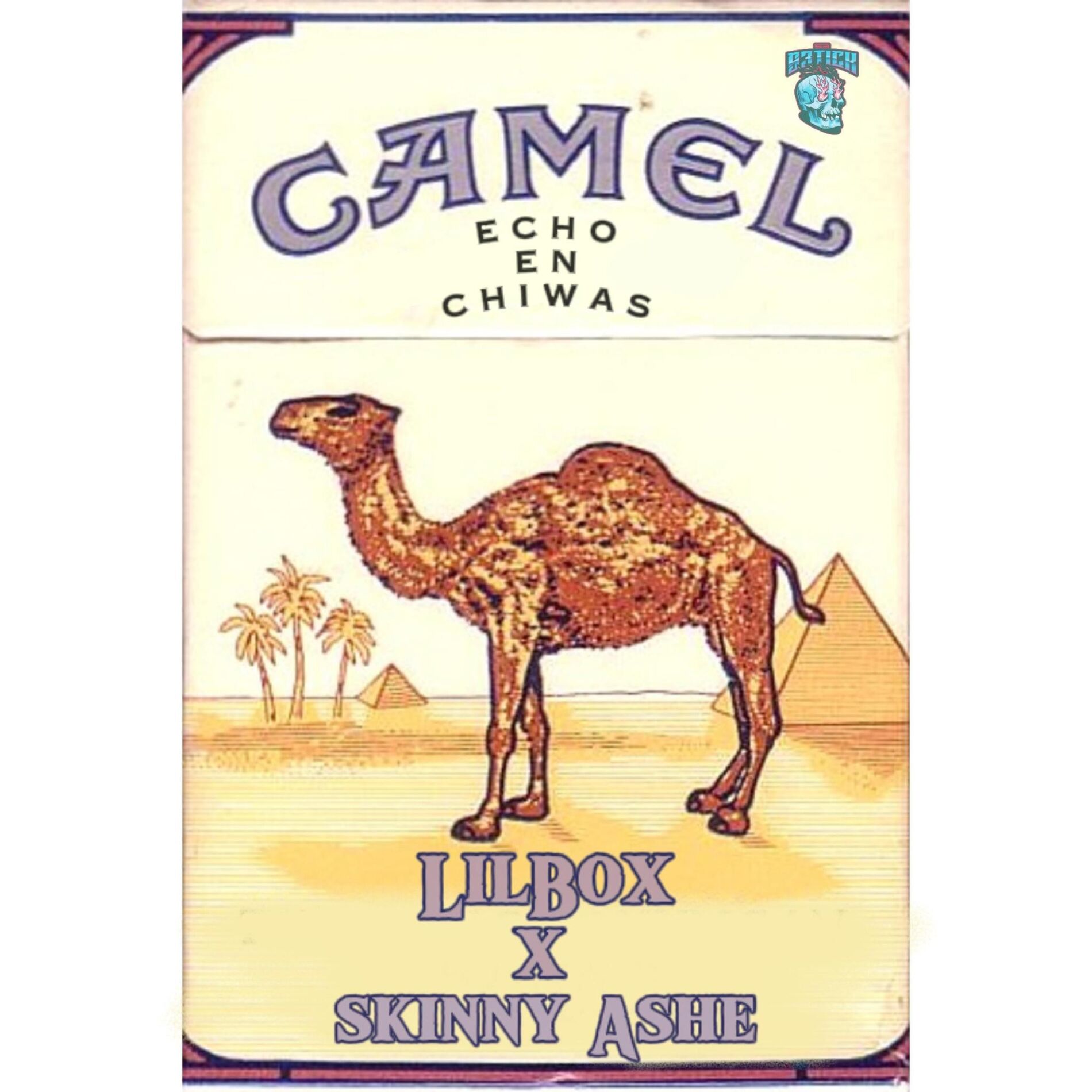 Album cover of Camel