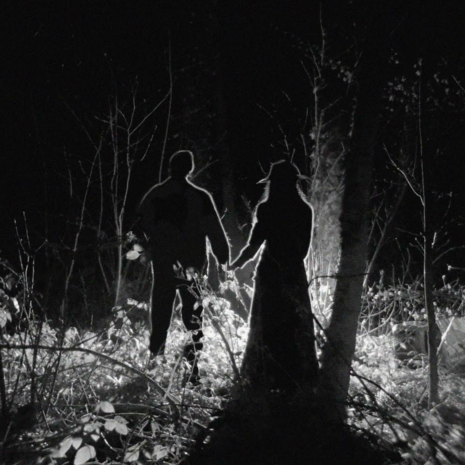 Album cover of Illusion