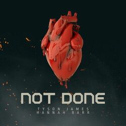 Cover of Not Done