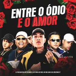 Cover of Entre O Ódio E O Amor