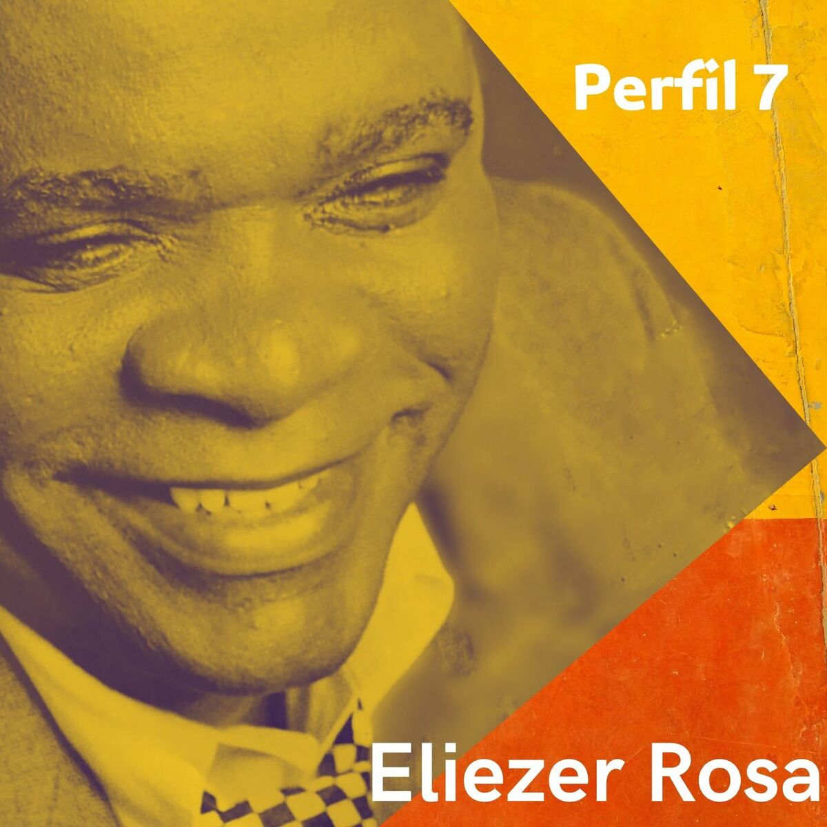 Album cover of PERFIL 7