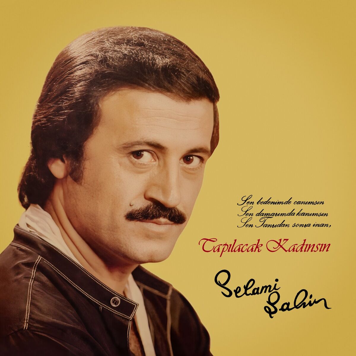 Album cover of Gitme Sana Muhtacım