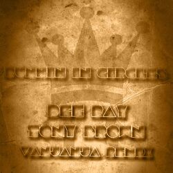 Cover of Runnin in Circles (Vanjanja Remix)